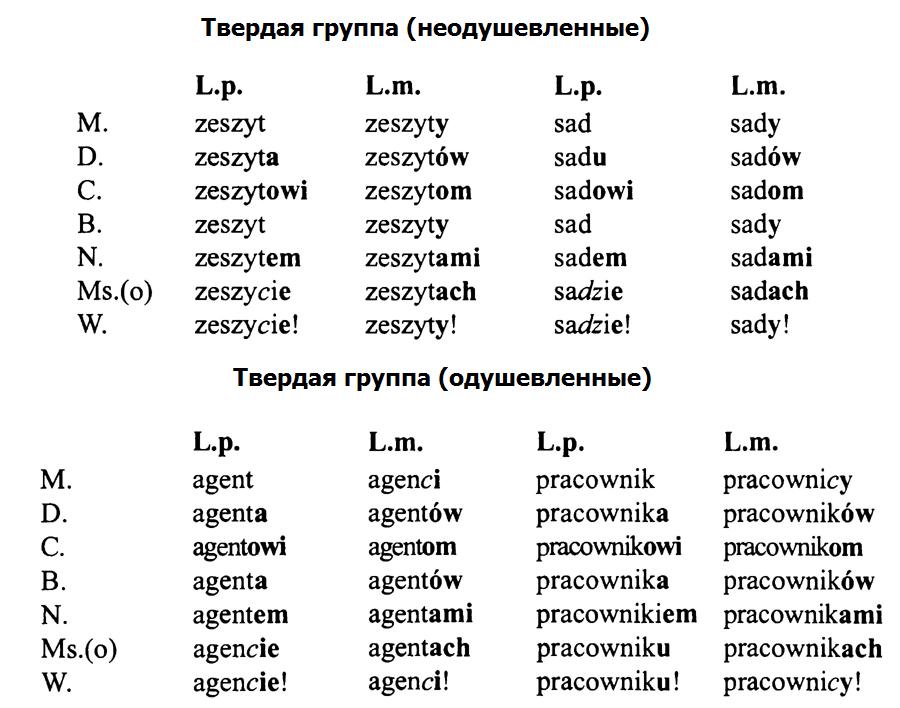 спряжение глаголов в польском языке п Изучение польского языка онлайн - Склонение существительных мужского рода