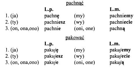 Спряжение глаголов польского языка в настоящем времени - 1 группа спряжения