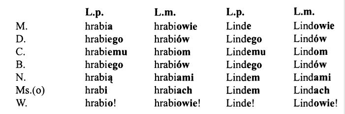 Смешанное склонение существительных в польском языке