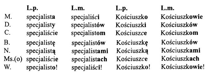Смешанное склонение существительных в польском языке